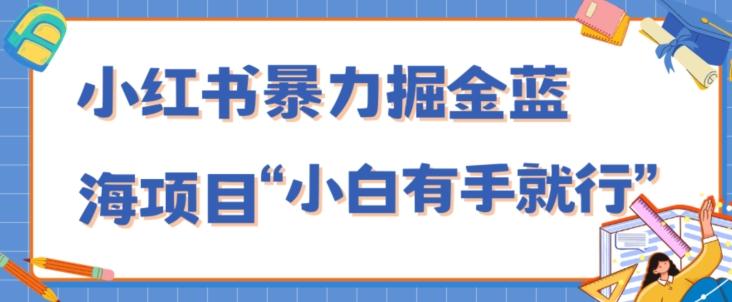 小红书暴力掘金蓝海项目，轻松日入1000+、小白有手就行（附新引流方法，不违规）-天娱网创