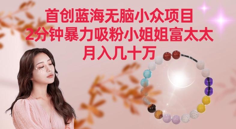 首创蓝海无脑小众项目，2分钟暴力吸粉小姐姐富太太，月入几十万【揭秘】-天娱网创