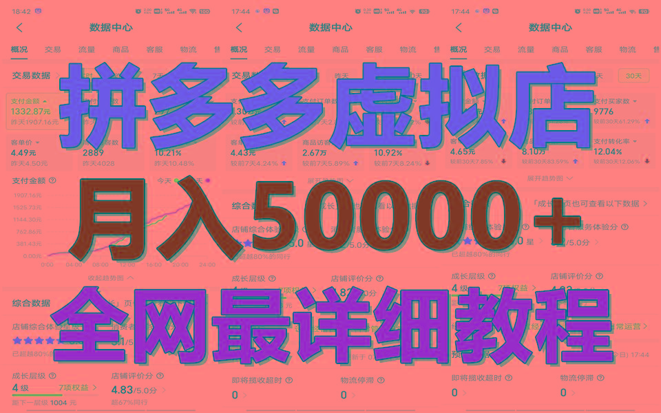 拼多多虚拟电商训练营月入50000+你也行，暴利稳定长久，副业首选-天娱网创