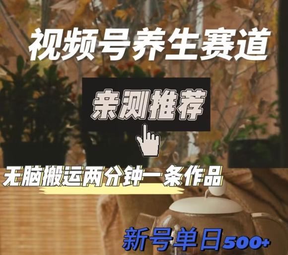 视频号养生赛道暴力掘金，无脑搬运，两分钟一条作品-新日单入500+-天娱网创