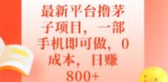 最新平台撸茅子项目，一部手机即可做，0成本，日赚800+-天娱网创