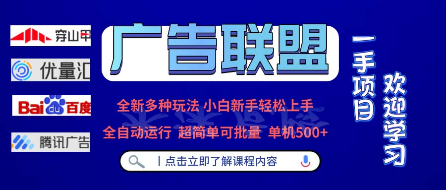 广告联盟 全新多种玩法 单机500+  全自动运行  可批量运行-天娱网创