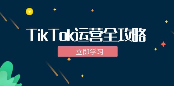 TikTok实战运营全攻略：从下载软件到变现，抖音海外版实操教程-天娱网创
