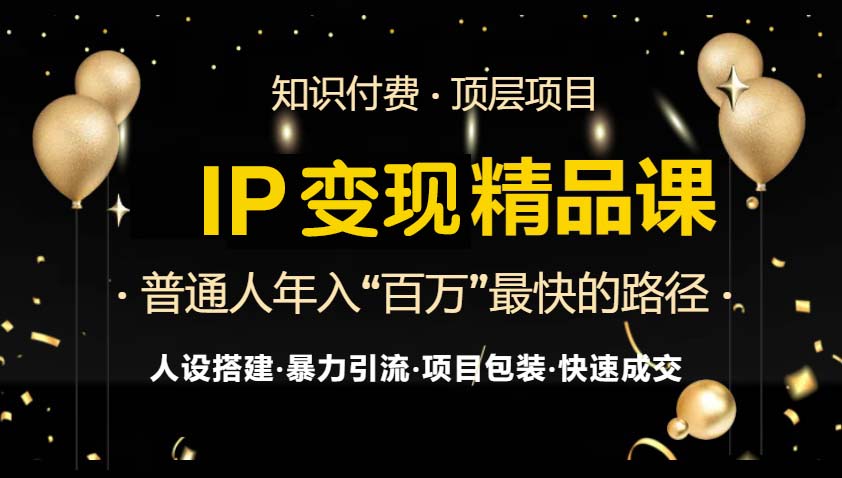 IP变现最新精品课程，知识付费全流程+最强引流术+小白避坑指南-天娱网创