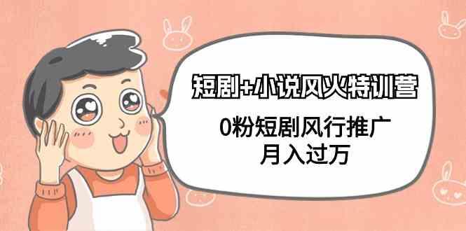 小说+短剧风火特训营，0粉短剧小说风行推广，实现月入过万-天娱网创